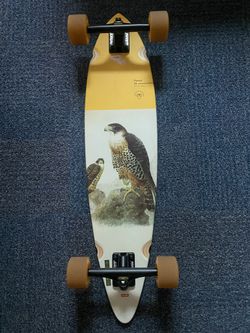 Globe Skateboard