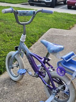 12 G frozen bicycle