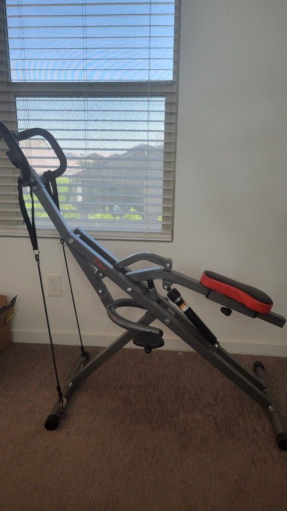 Sunny Health & Fitness Row-N-Ride PRO