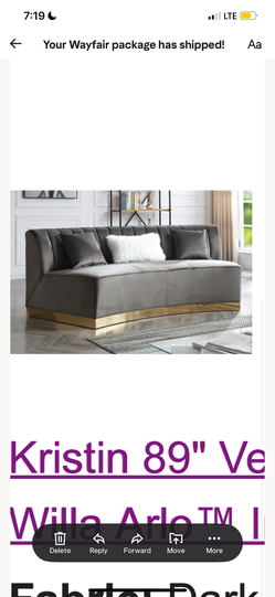 Gray velvet couch