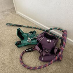 Dog Harness And Leashes