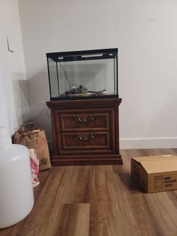 20 Gallon Aquarium And Stand