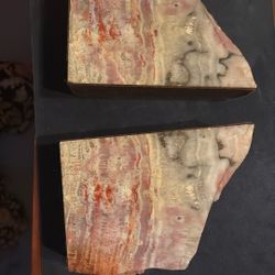 Polished Petrified Wood