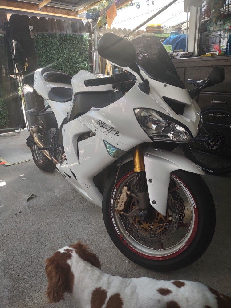 2005 Kawasaki ZX10