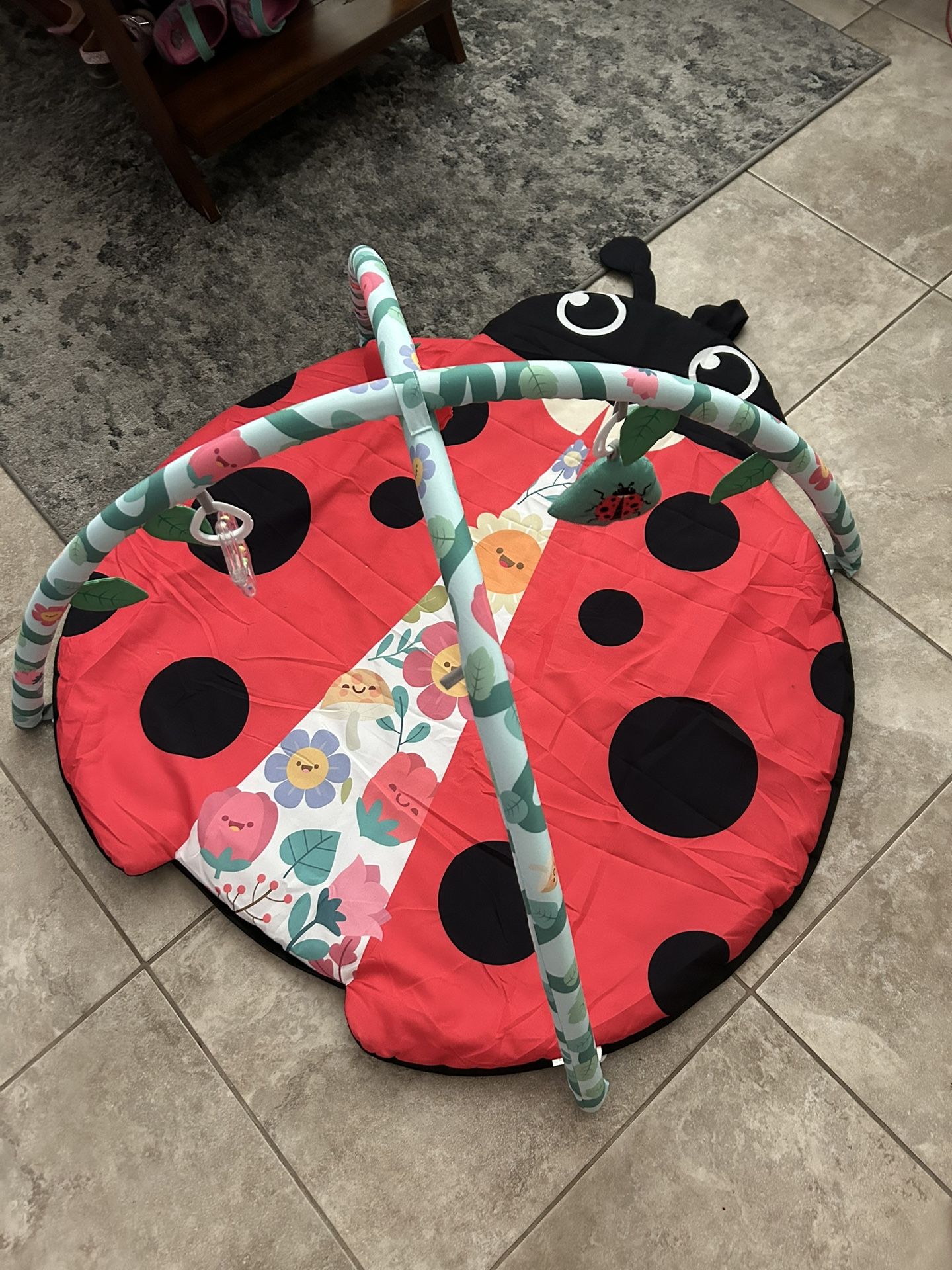 Ladybug Play Mat