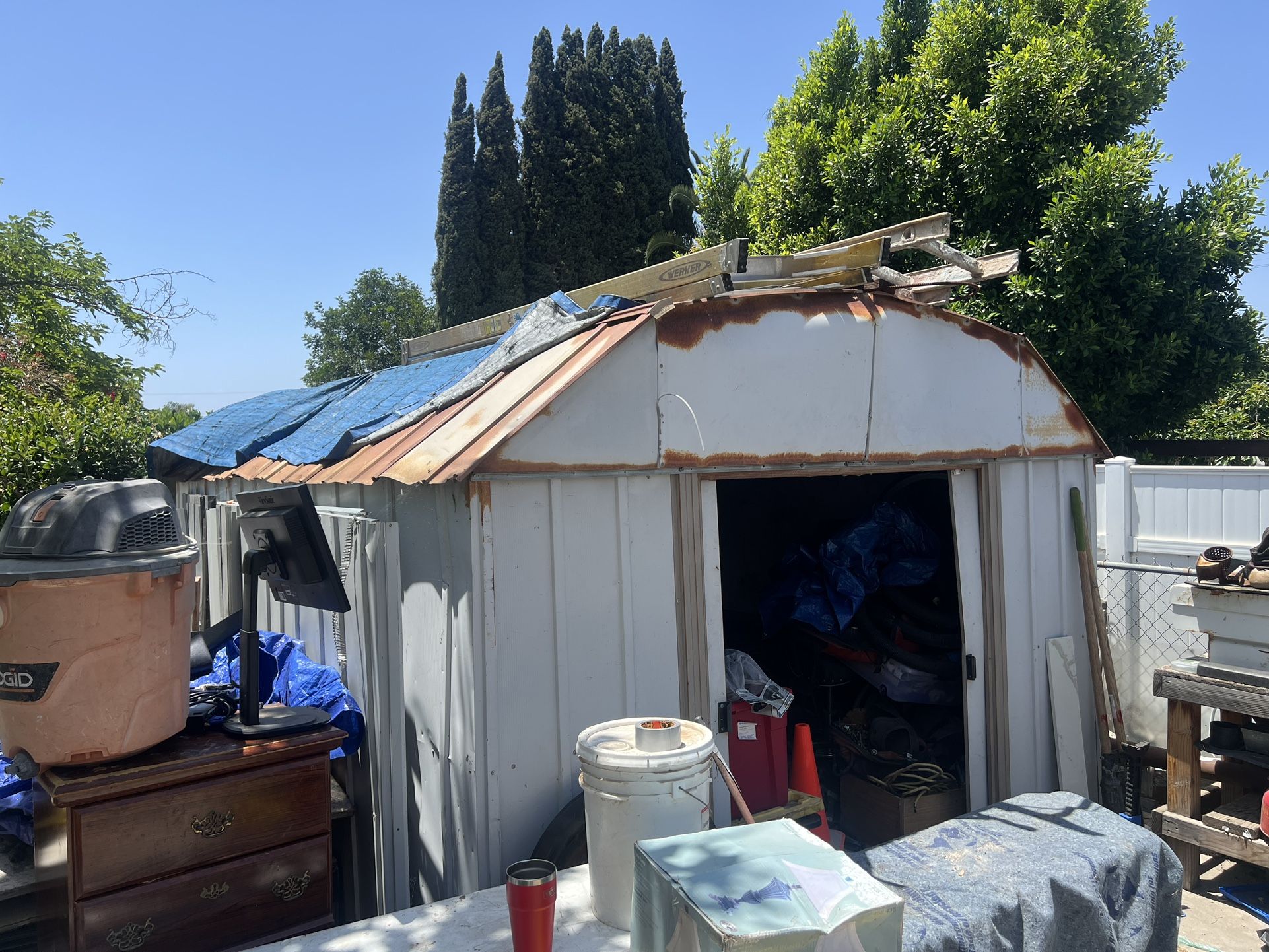 Shed