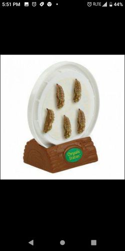 Caterpillars painted lady life cycle kits