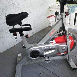 Sunny Exercise Bike 