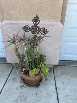 Large Succulents With Metal Cross 