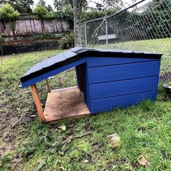 Dog House 