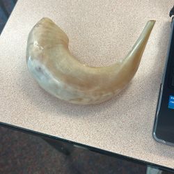 Old Medival Horn