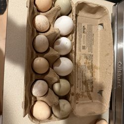 Farm Fresh Eggs 