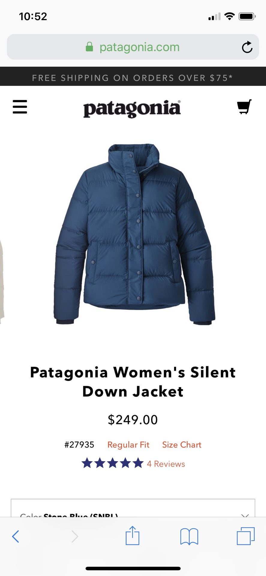 Patagonia Silent Down Women’s Down Puffer JACKet (small)