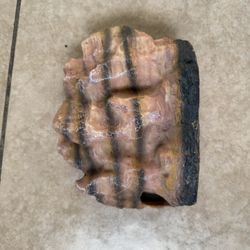 Reptile Rock