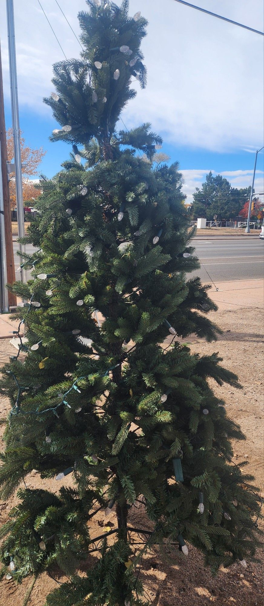 Christmas Tree 7 Feet