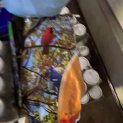 Farm Animal Farm Needs