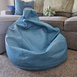 Bean Bag Chair