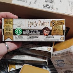 Harry Potter Mystery Items