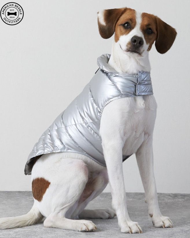 New (2) American Beagle Outfitters Dog Coats