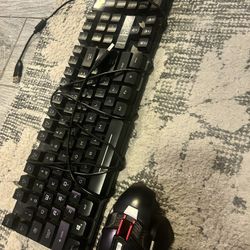 Gamer Mouse And Keyboard 