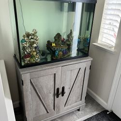 37 gal fish tank & stand 