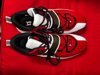 Dwayne Wade Shoes size 14.5