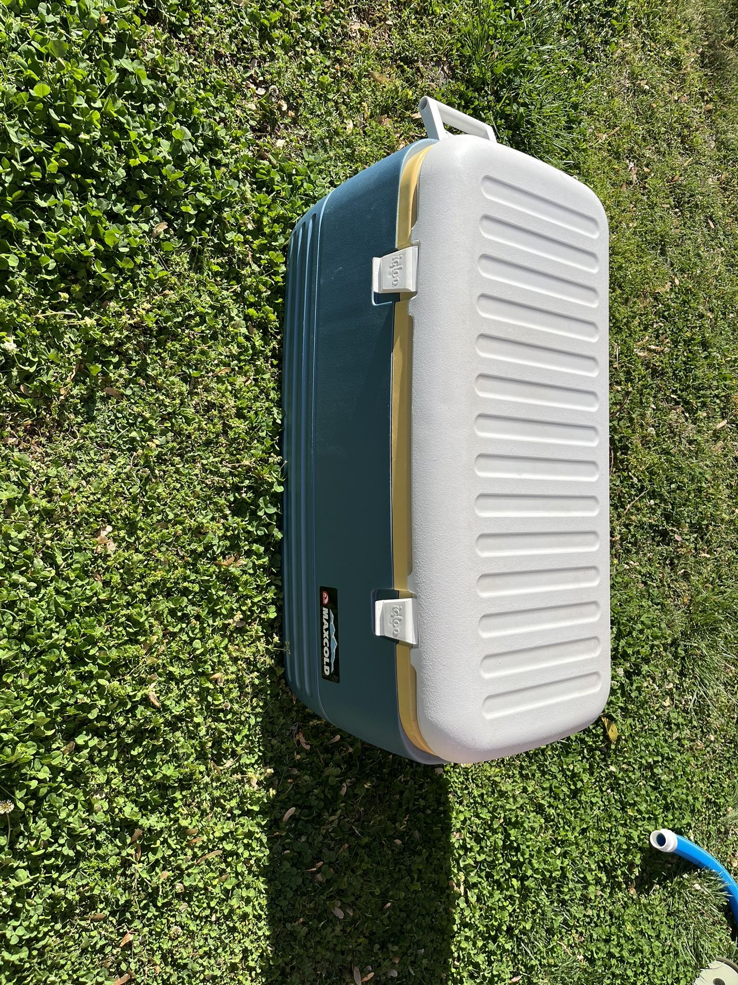 120 Qt Igloo Cooler