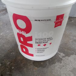 5 Gallons Interior flat  wall & ceiling White Paint 