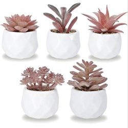 Brand New Set of 5 Artificial Succulent Plants - Pink Mini Assorted Fake Succulents - Small Artificial Plants in Pots for Home Decor Indoor 