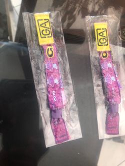 2019 day n Vegas festival 3day wristband