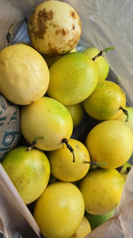 Passion Fruit