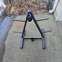 Old Rusty Golds Gym Weight Tree--