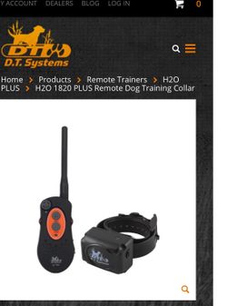 Electronic super trainer collar