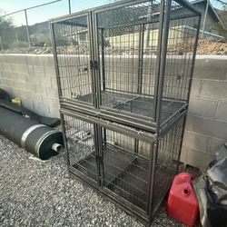 Kennels 
