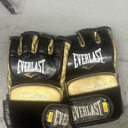 Everlast MMA/boxing Gloves 