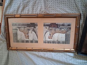 Frame  picture