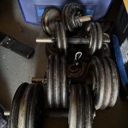 Weights