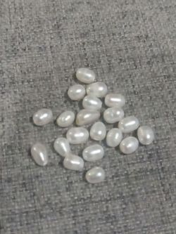 Pearls loose drilled ×20