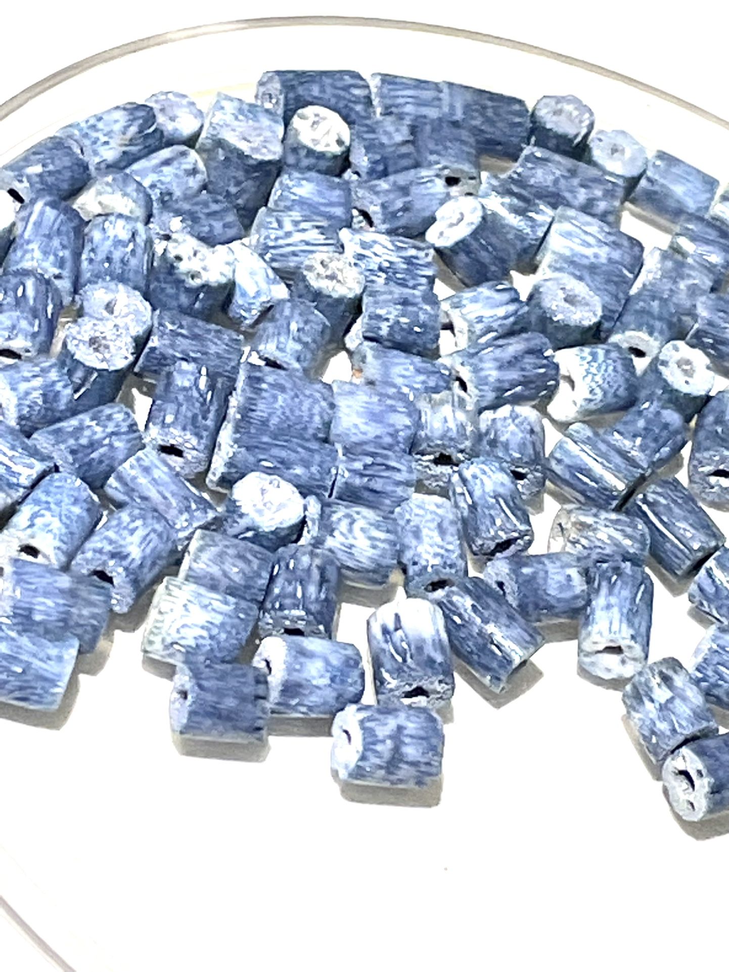 Blue Coral Beads