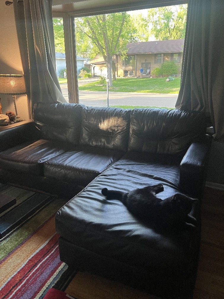 Back Leather Couch