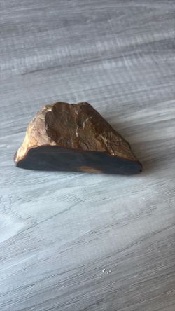 Vintage petrified wood