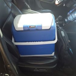 Fridge/cooler