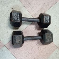 20 Lb Set Dumbbells