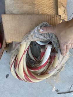 Candy Canes Christmas Decorations 