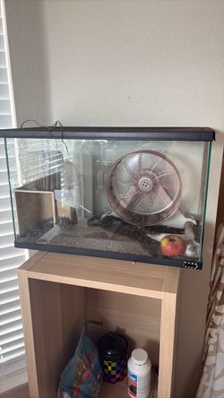 Robo Hamster w/ Terrarium