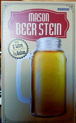 Mason Beer Stein new