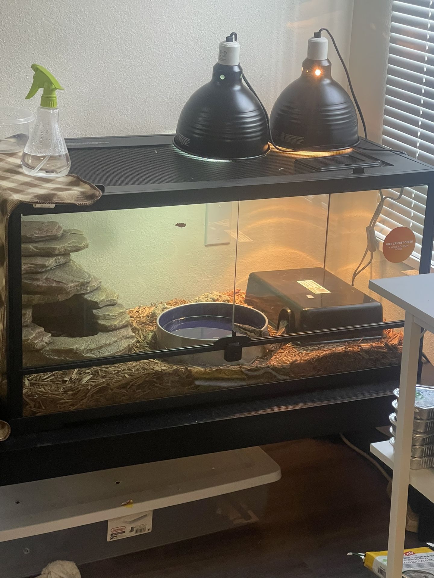 Snake Stuff Plus More