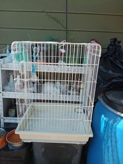 Color white,cage for birds any