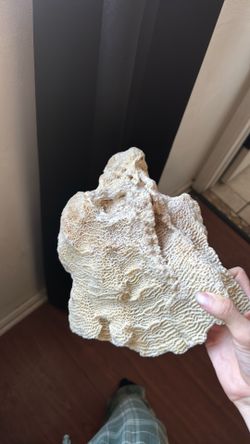 Coral/Crystal