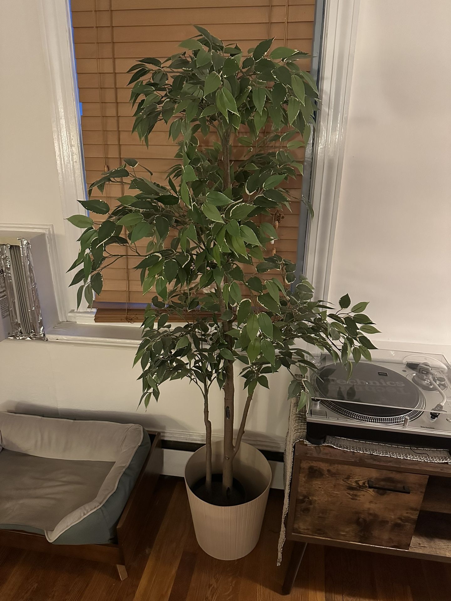 Fake Plant